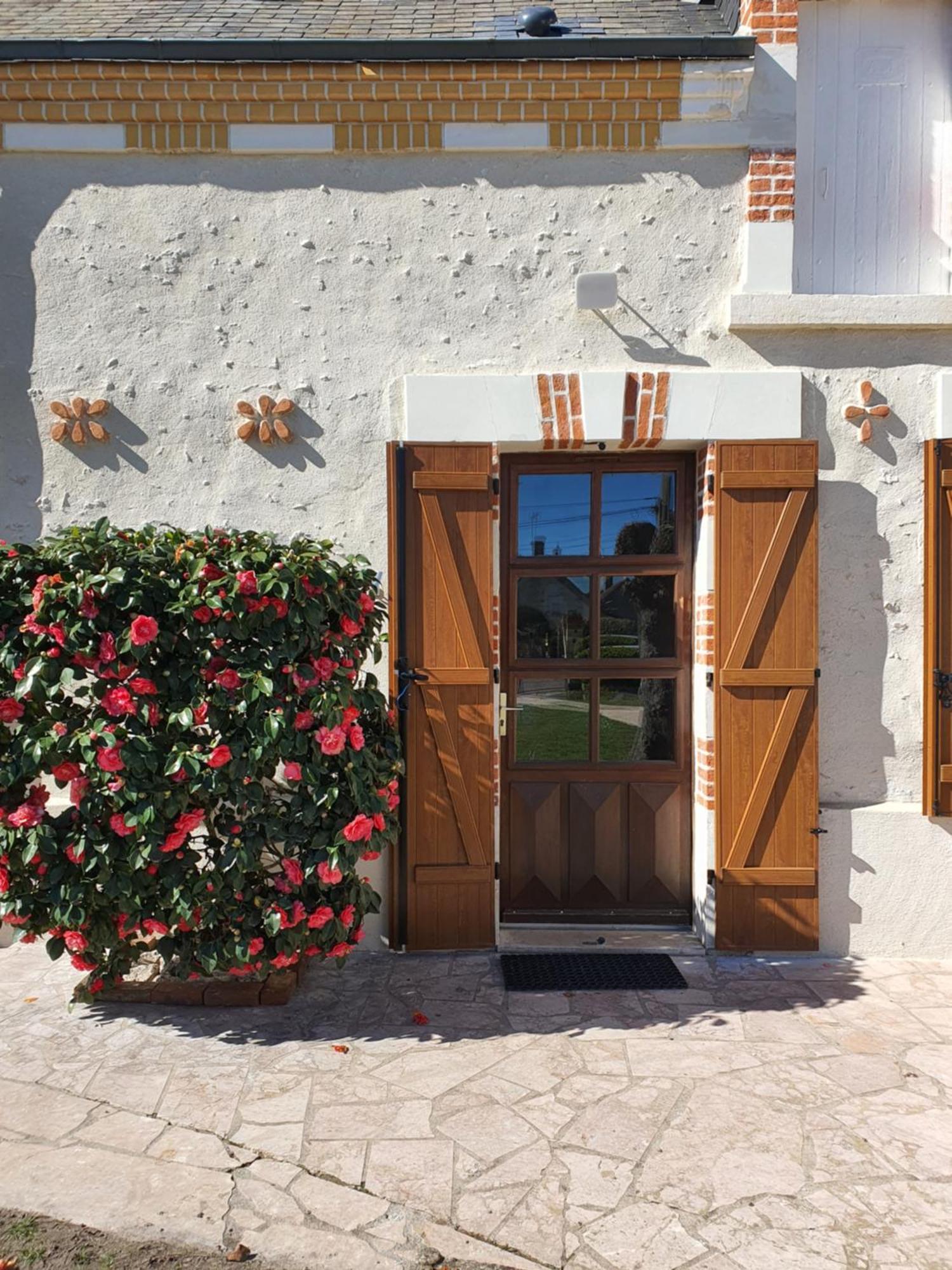 Villa Les Camelias Selles-sur-Cher Esterno foto